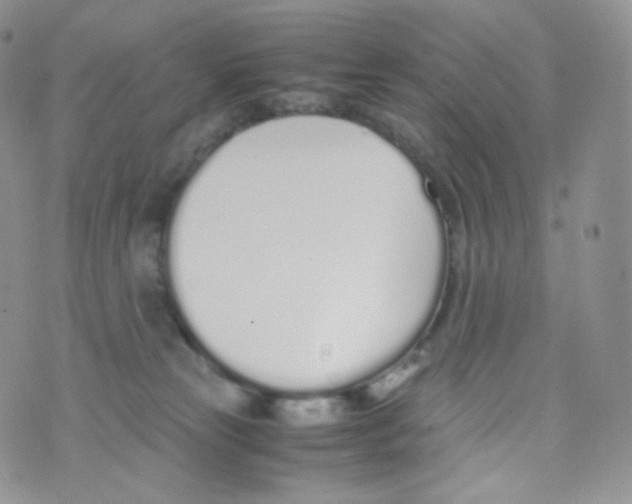 X0000070380181200606301930