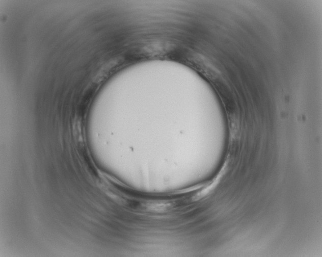 X0000070380182200606301930