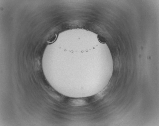 X0000070380183200606301930