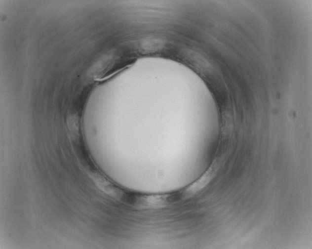 X0000070380184200606301930