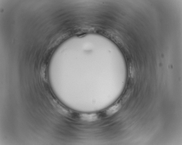 X0000070380185200606301930