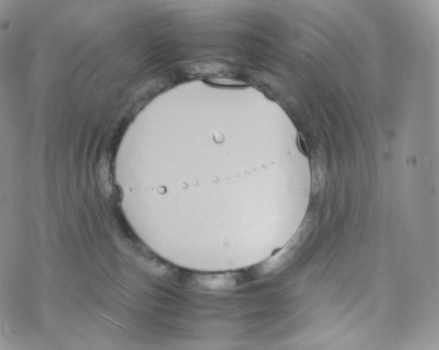 X0000070380187200606301930