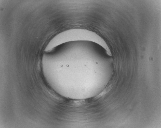 X0000070380188200606301930