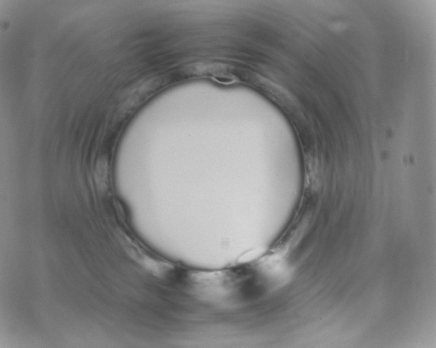 X0000070380189200606301930