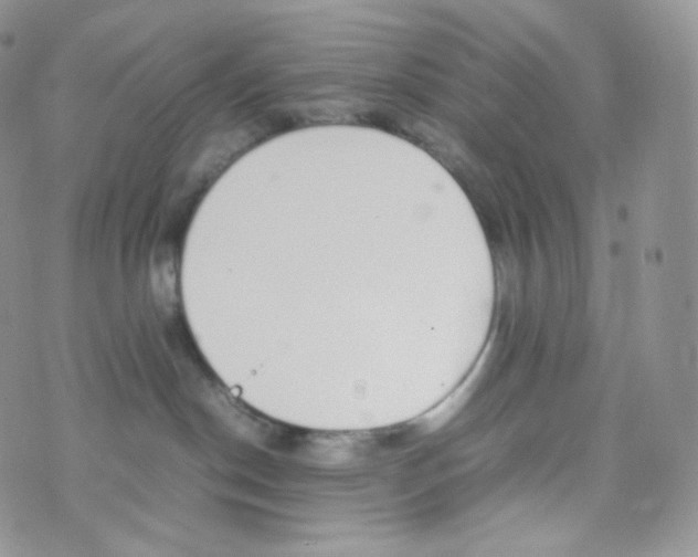 X0000070380190200606301930