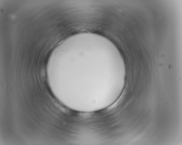 X0000070380192200606301931