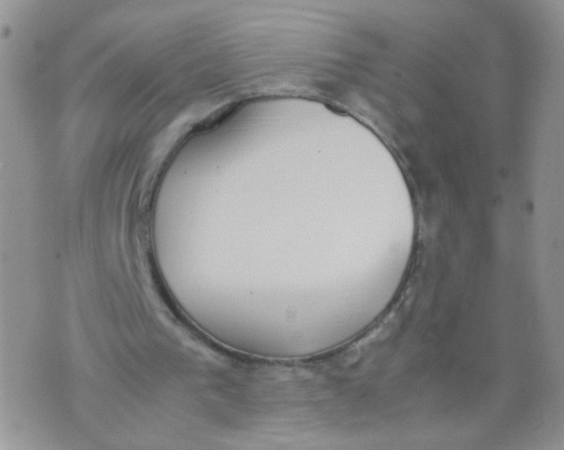 X0000070380193200606301930