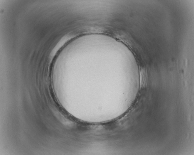 X0000070380195200606301930