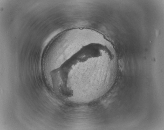 X0000070380196200606301930