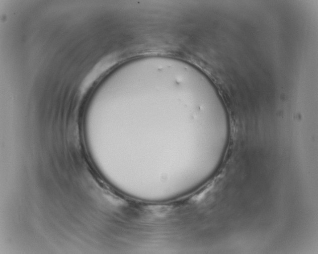 X0000070380198200606301930