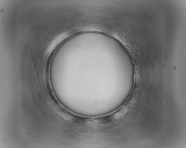 X0000070380199200606301930