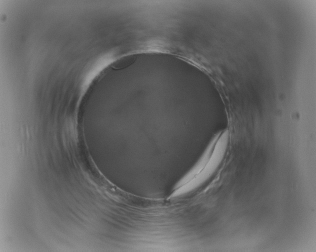 X0000070380200200606301930