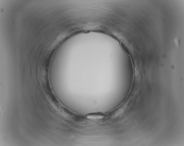 X0000070380201200606301930