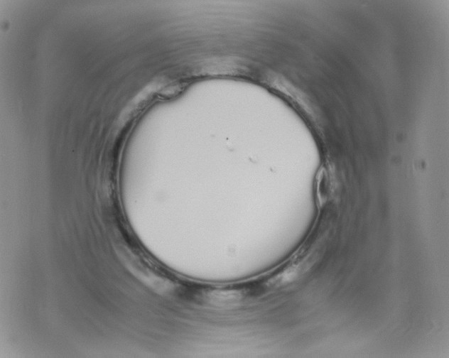 X0000070380203200606301930