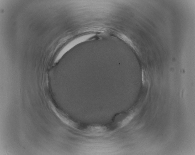 X0000070380205200606301930