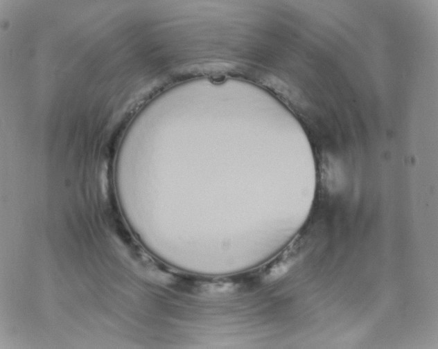 X0000070380206200606301930