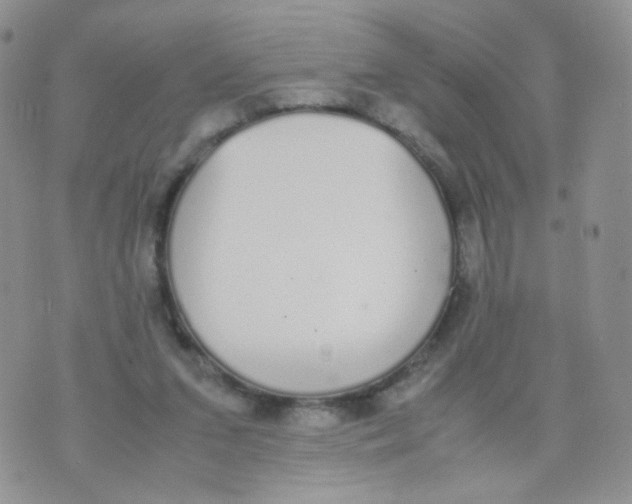 X0000070380207200606301930