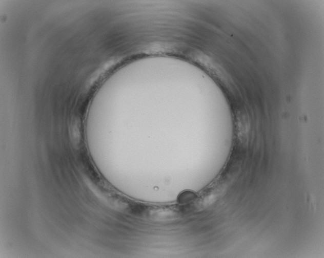 X0000070380208200606301930