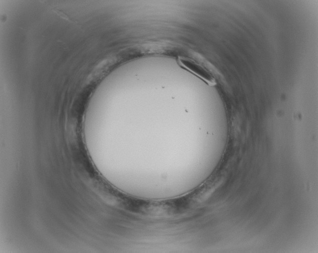 X0000070380209200606301929