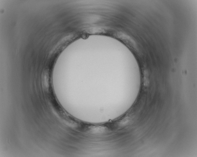 X0000070380210200606301929