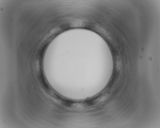 X0000070380211200606301929