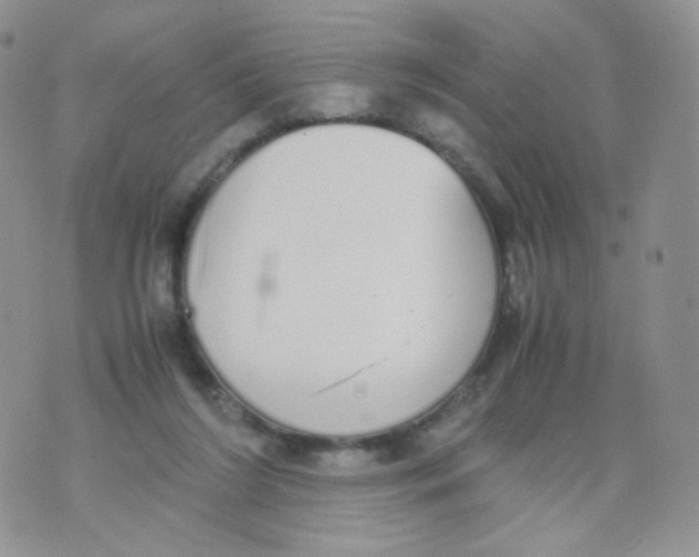 X0000070380212200606301929