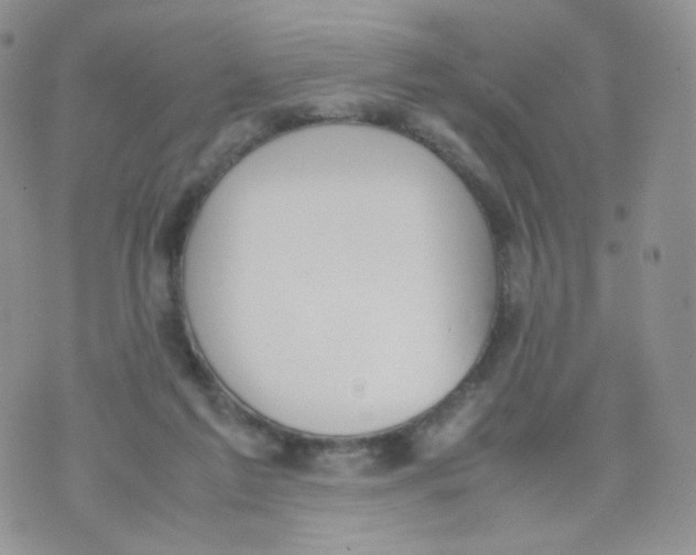 X0000070380213200606301929