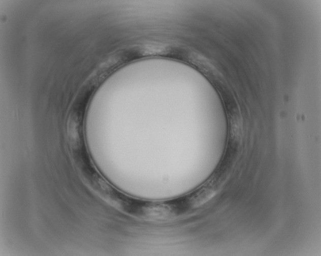 X0000070380215200606301929