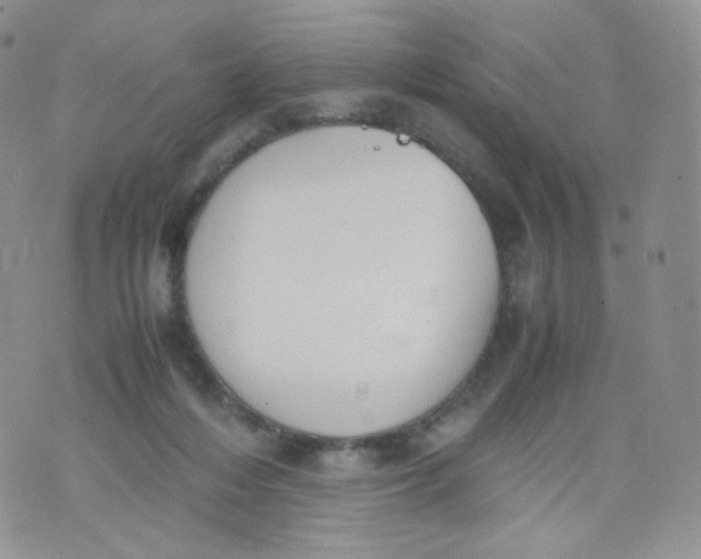 X0000070380216200606301929