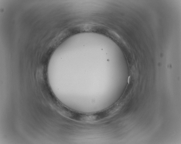 X0000070380217200606301929