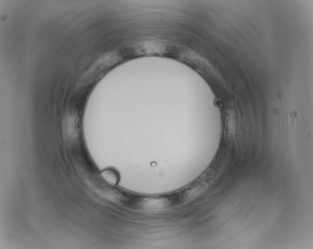 X0000070380218200606301929