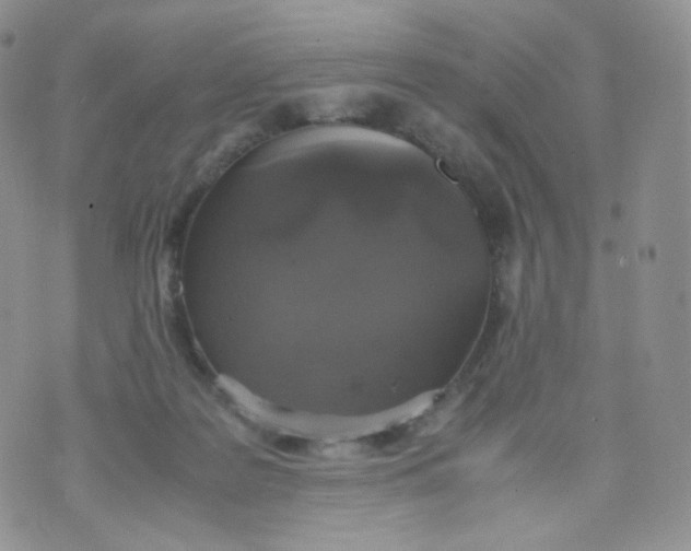 X0000070380219200606301929