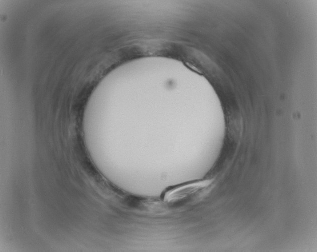 X0000070380221200606301929