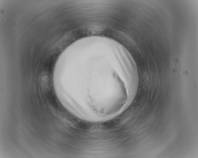 X0000070380222200606301929