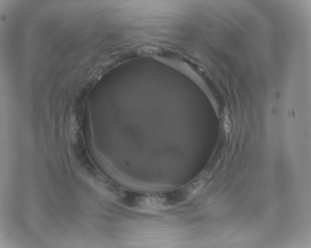 X0000070380223200606301929