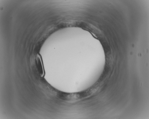 X0000070380225200606301929