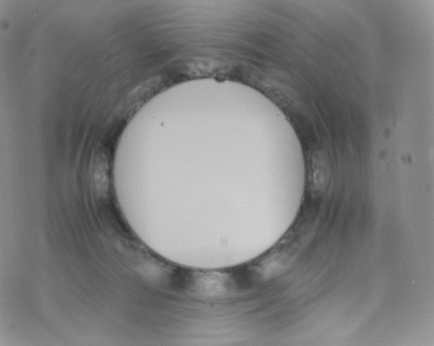 X0000070380226200606301929