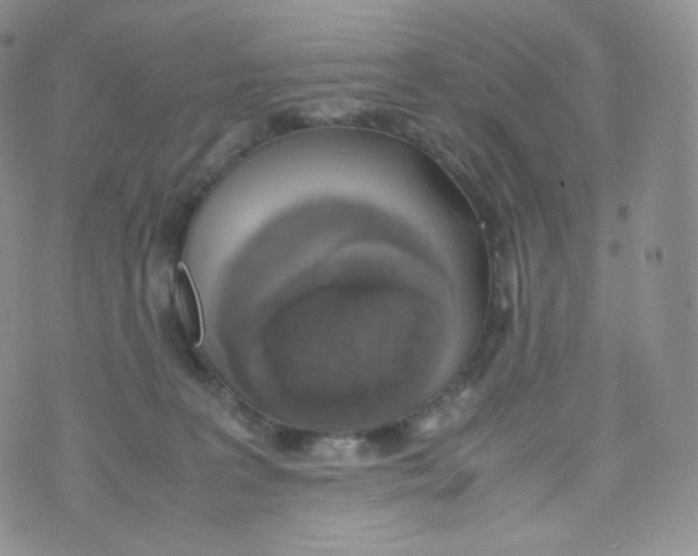 X0000070380227200606301929