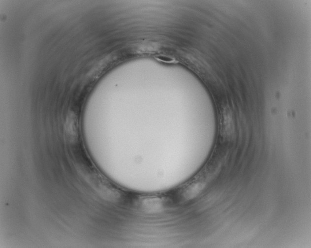 X0000070380228200606301929