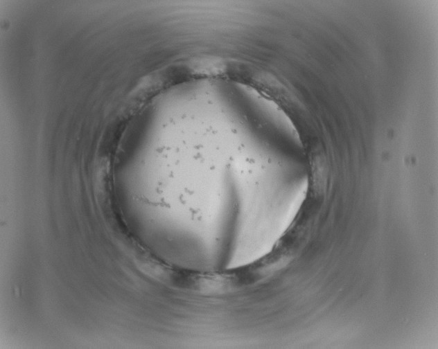 X0000070380229200606301929