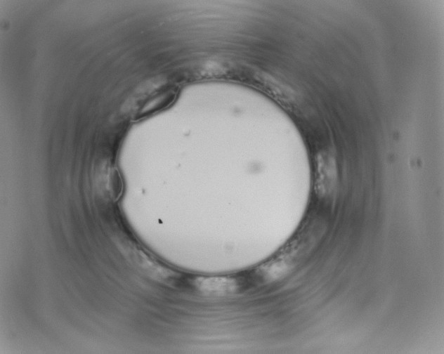 X0000070380230200606301929