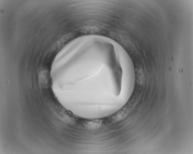 X0000070380232200606301929