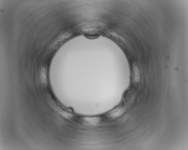 X0000070380234200606301929