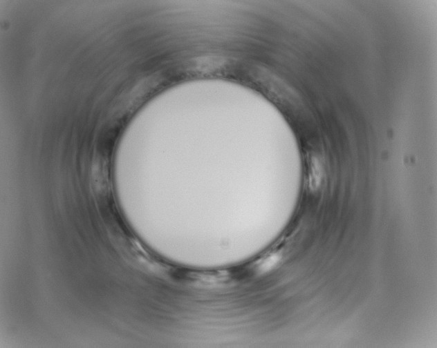 X0000070380236200606301929