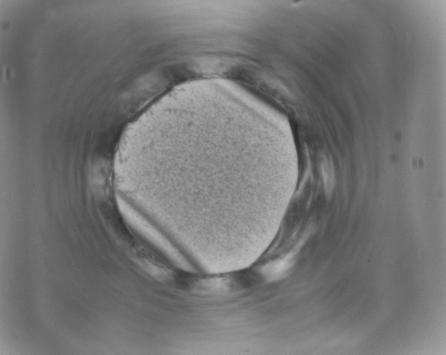 X0000070380237200606301929