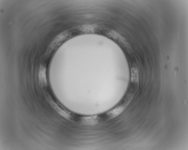 X0000070380238200606301929