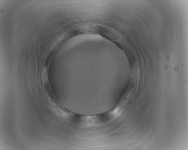 X0000070380239200606301929