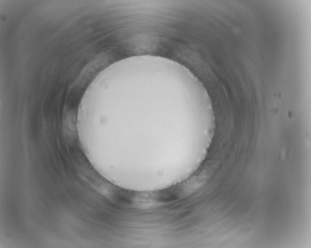 X0000070380240200606301929