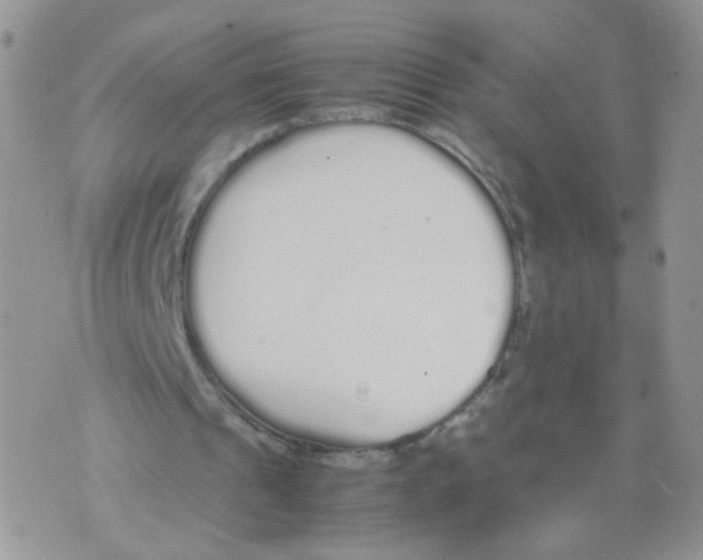 X0000070380241200606301928