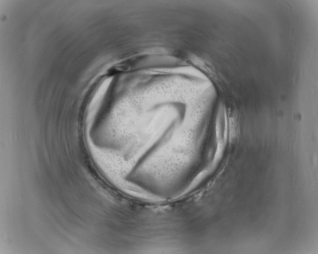 X0000070380243200606301928